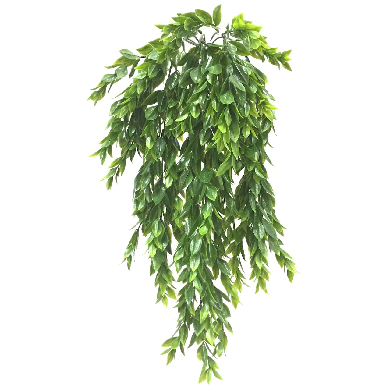Hanging Ruscus Bush by Ashland®